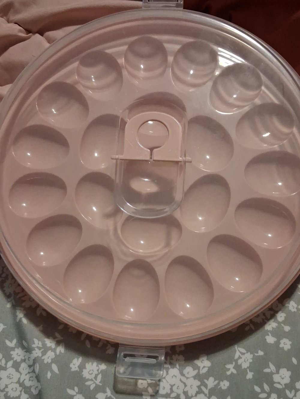 Plastic Egg Carrier and Storage Tray - White